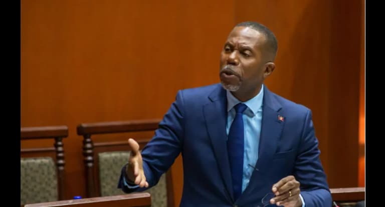 trevor walker talking in parliament