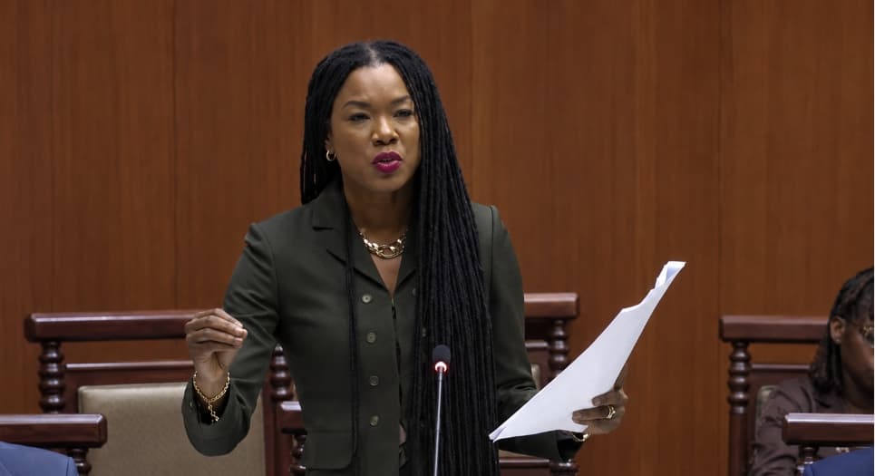 malaka parker speaking in parliament holding document