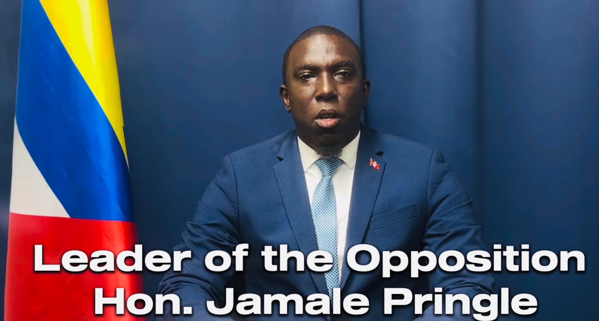 Pringle address on crime and pm threatening the judiciary