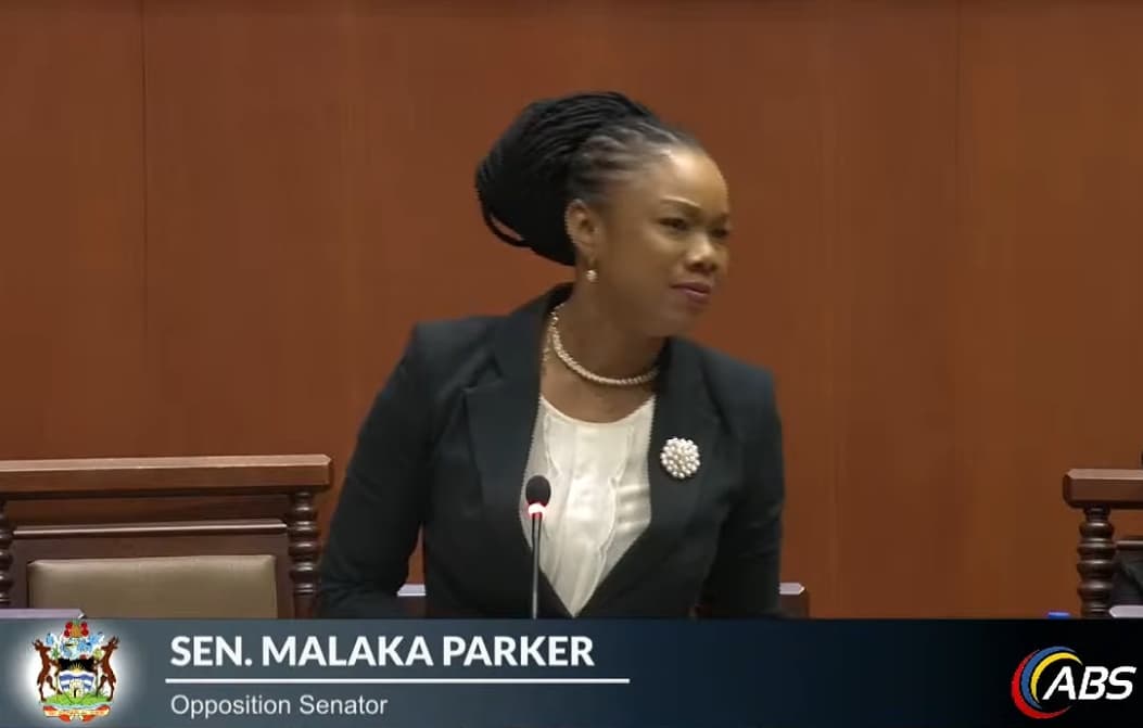 malaka parker talking in parliament in dark green jacket with abs name tag and logo
