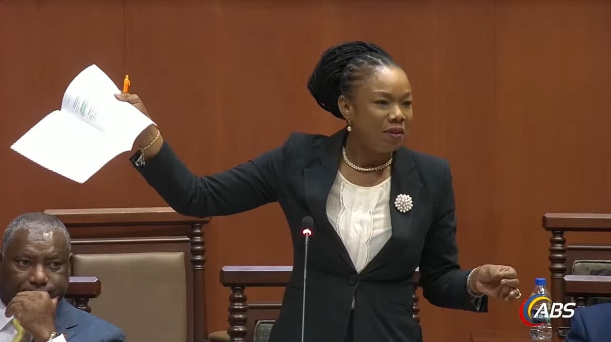 malaka parker talking in parliament in dark green jacket holding uppaper in one hand
