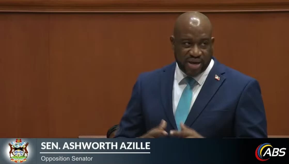ashworth azille talking in parliament in blue suit light blue tie looking at lower government bench