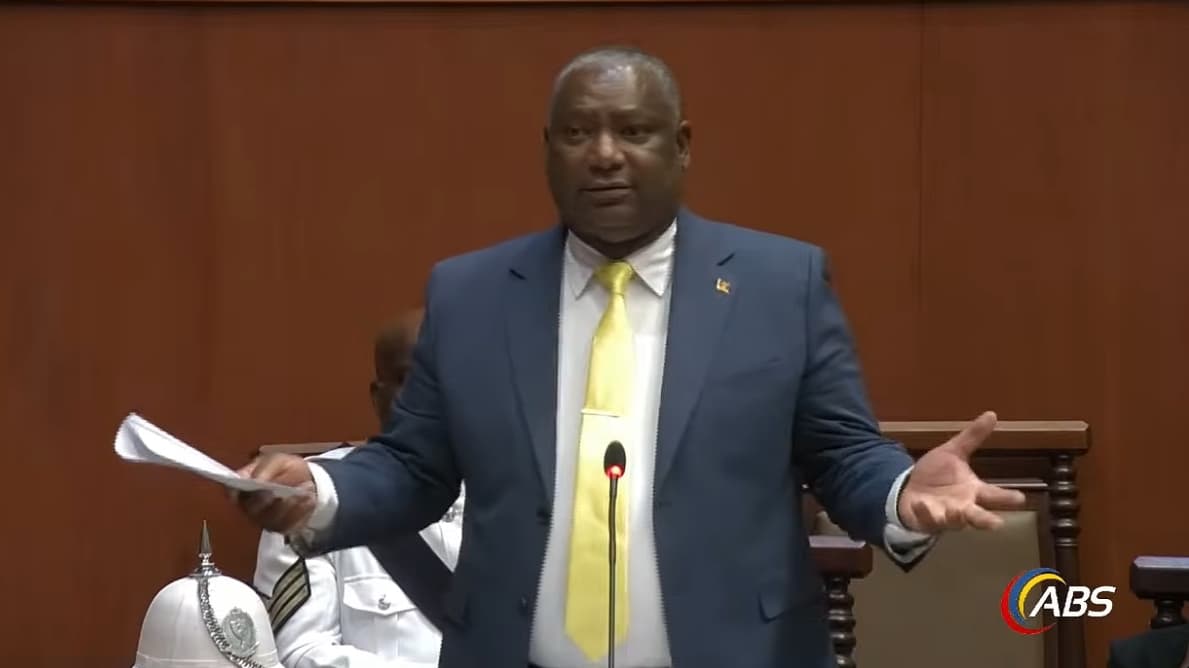 chester hughes talking in parliament in blue grey suit with two raised hands and paper in one looking at government bech