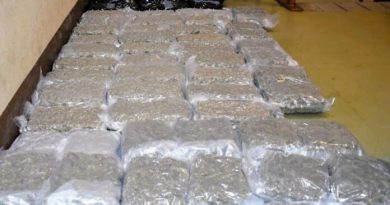 Over $600,000 worth of cannabis seized this week at the airport and post office; police investigating, as usual