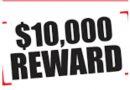 Reward of $10k being offered for information that will lead to solving latest murder and other outstanding homicides, STRATCOM announces